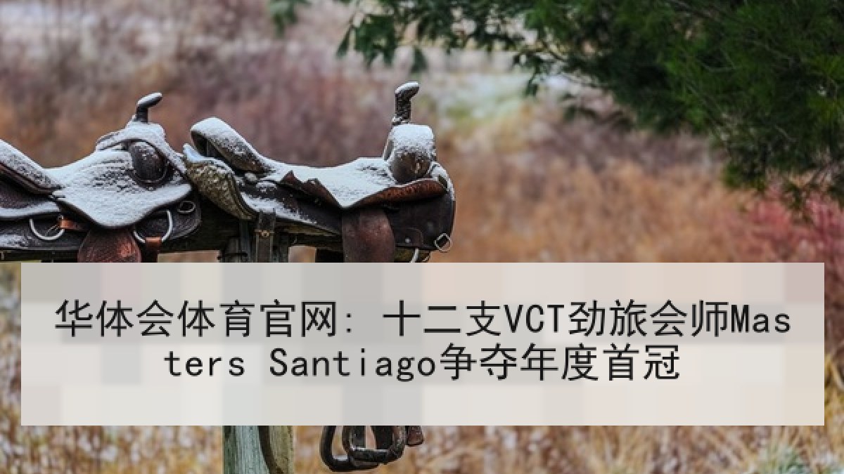 华体会体育官网: 十二支VCT劲旅会师Masters Santiago争夺年度首冠