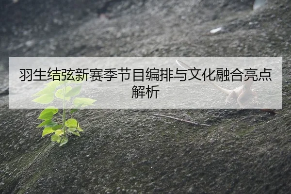 yu-sheng-jie-xian-xin-sai-ji-jie-mu-bian-pai-yu-wen-hua-rong-he-liang-dian-jie-xi-2-542.jpg