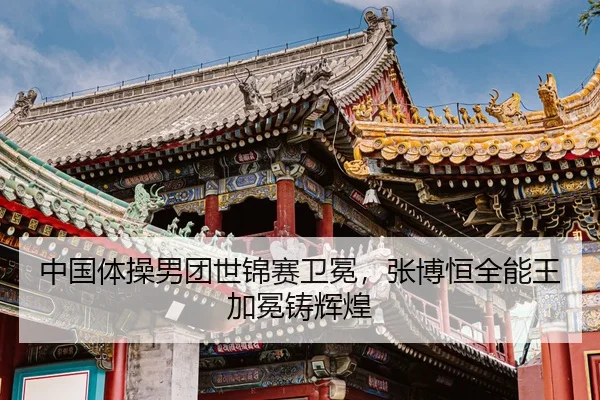 zhong-guo-ti-cao-nan-tuan-shi-jin-sai-wei-mian-zhang-bo-heng-quan-neng-wang-jia-mian-zhu-hui-huang-2-507.jpg
