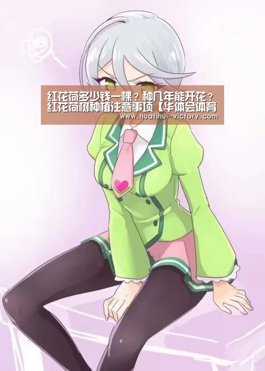 红花荷多少钱一棵？种几年能开花？红花荷树